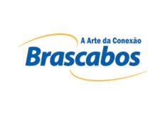 Consultoria, gestão de capital humano, administração financeira, Risk Advisory, Outsourcing, gestão de riscos estratégicos para Brascabos - Componentes Elétricos e Eletrônicos.
