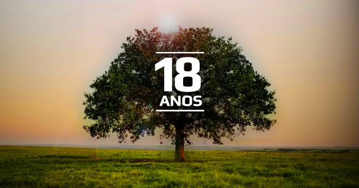 A Resulta Consultoria Empresarial faz 18 anos.